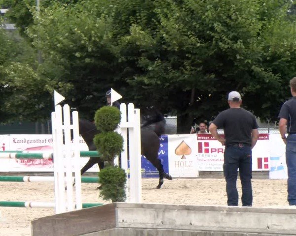 Reitturnier Balsthal 2024