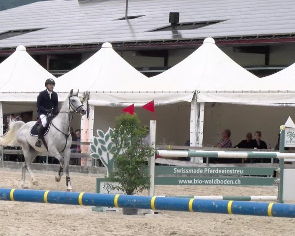 Reitturnier Balsthal 2024