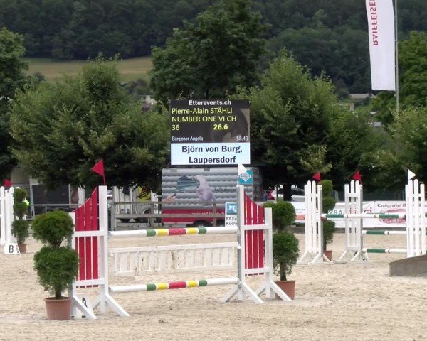 Reitturnier Balsthal 2024