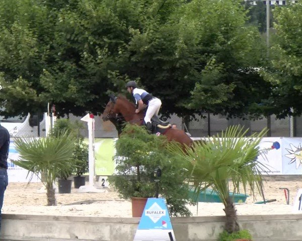 Reitturnier Balsthal 2024
