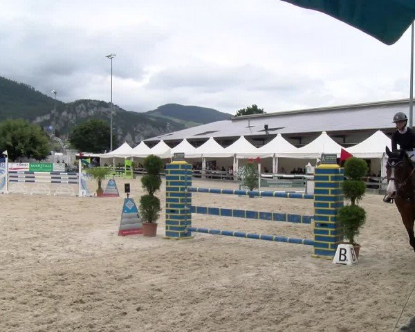 Reitturnier Balsthal 2024