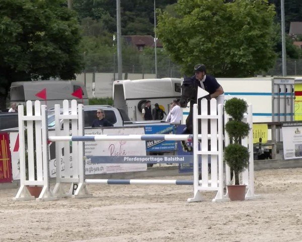 Reitturnier Balsthal 2024