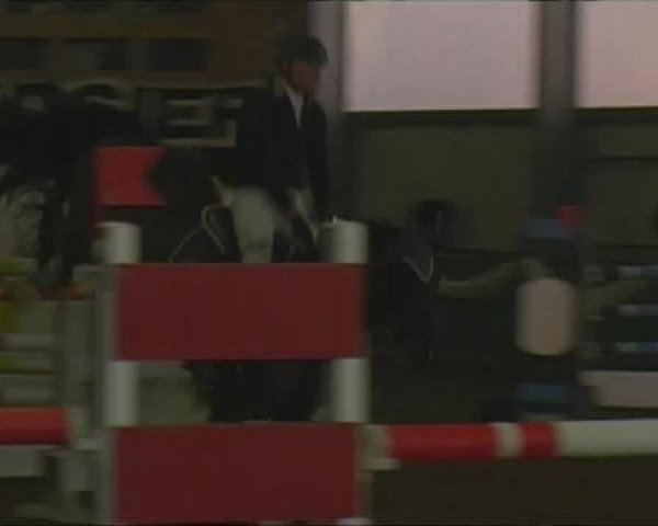 PLS Arnsberg-Vosswinkel 2013