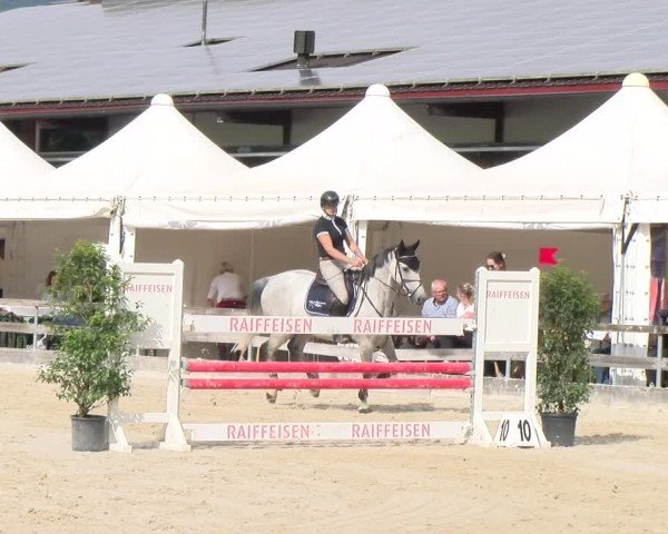 Reitturnier Balsthal 2024