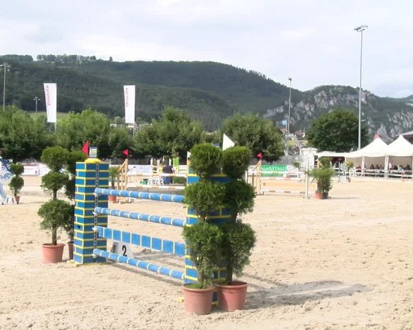 Reitturnier Balsthal 2024