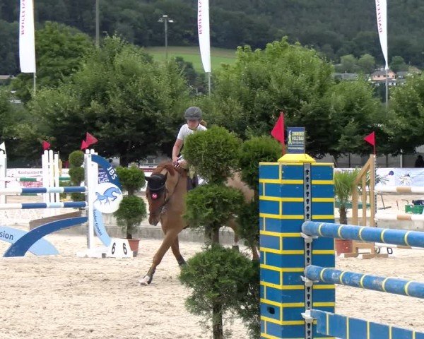 Reitturnier Balsthal 2024