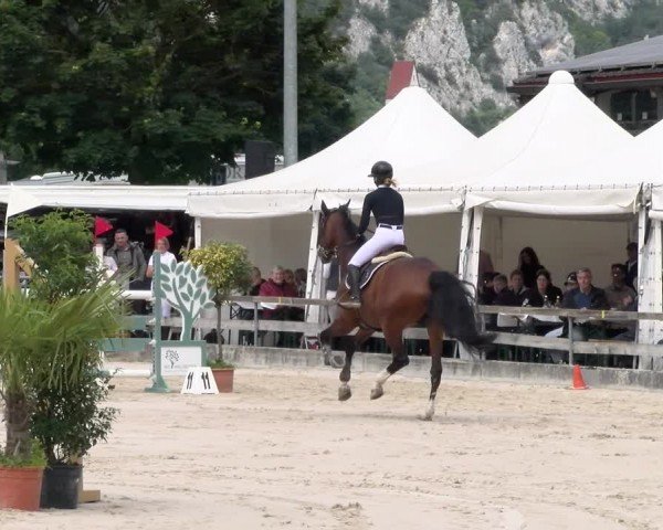 Reitturnier Balsthal 2024
