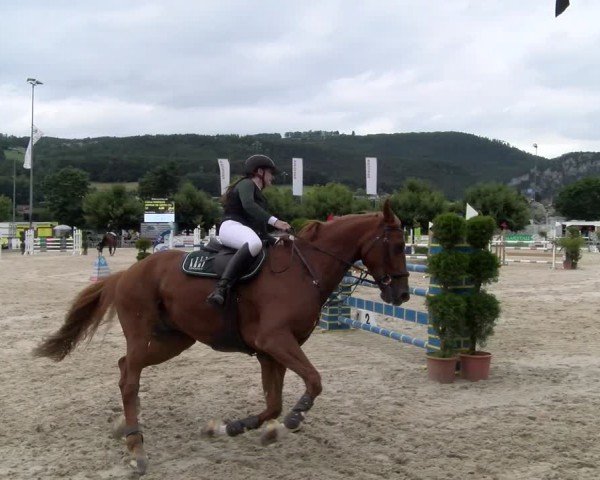 Reitturnier Balsthal 2024
