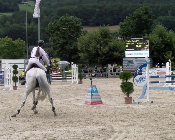 Reitturnier Balsthal 2024