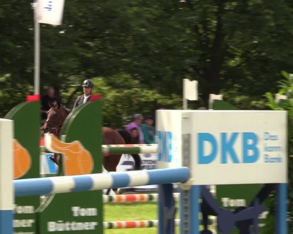 Reitturnier Burgstädt 2024