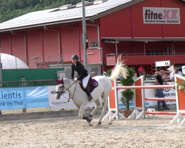 Reitturnier Balsthal 2024