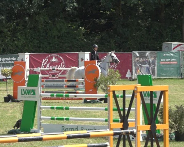 Reitturnier Wohlesbostel 2024