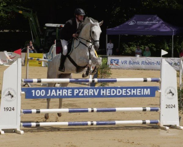 Reitturnier Heddesheim 2024