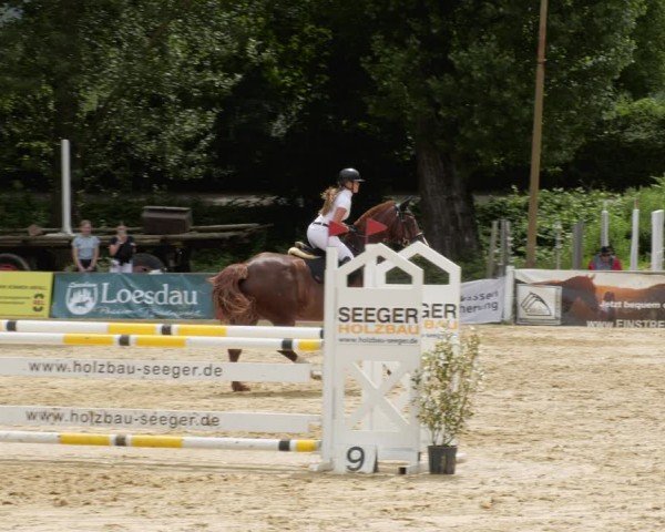 Reitturnier Heddesheim 2024