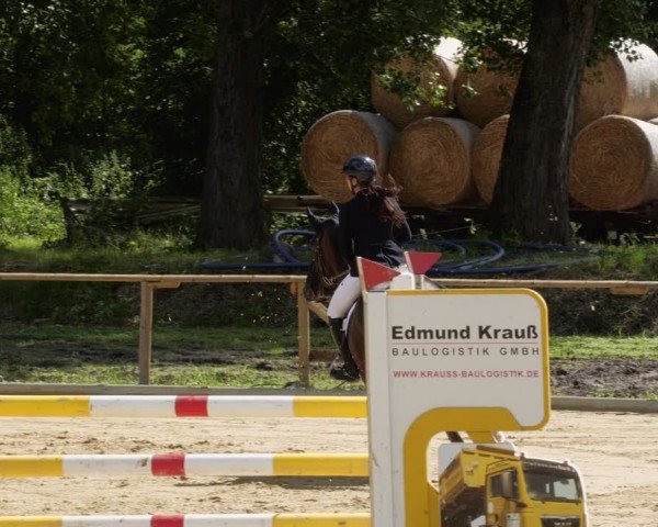 Reitturnier Heddesheim 2024