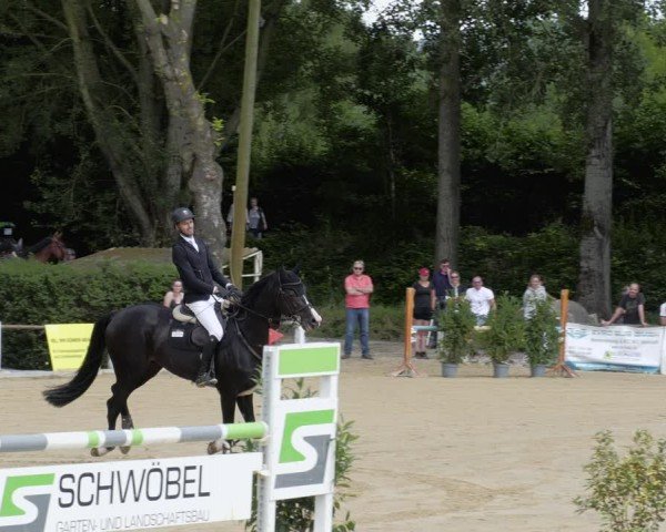 Reitturnier Heddesheim 2024