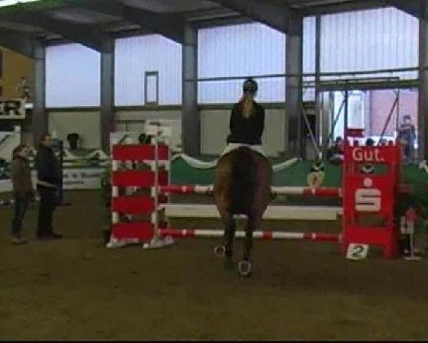 PLS Arnsberg-Vosswinkel 2013