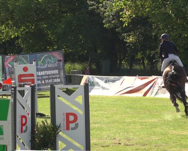 Reitturnier Wohlesbostel 2024