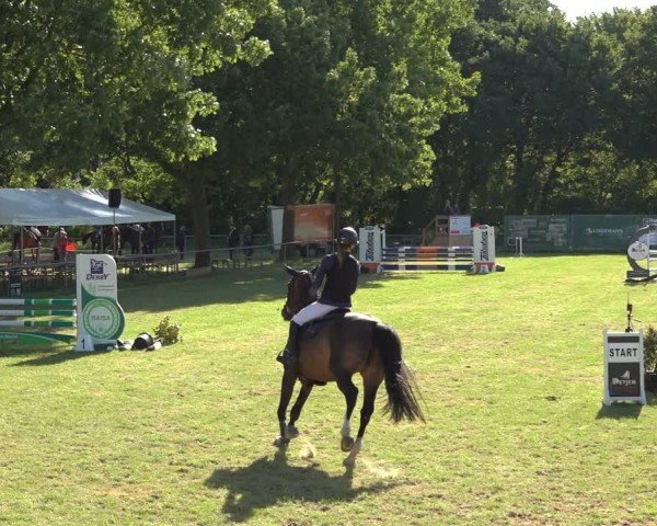 Reitturnier Wohlesbostel 2024