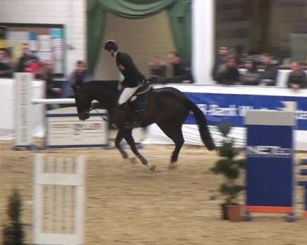 Hallenspringturnier in Borken 2013