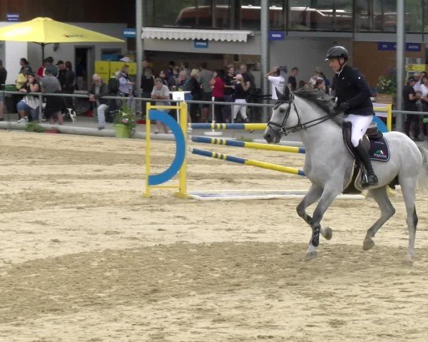Reitturnier Rankweil 2024