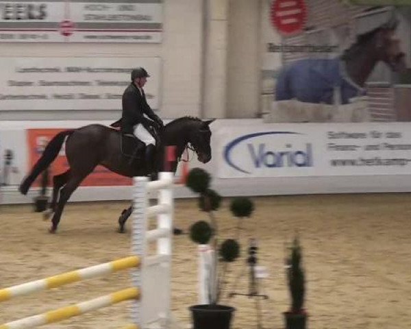 Hallenspringturnier in Borken 2013
