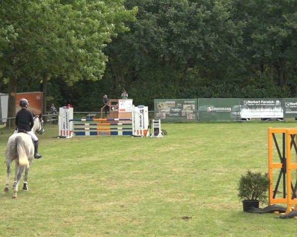 Reitturnier Wohlesbostel 2024