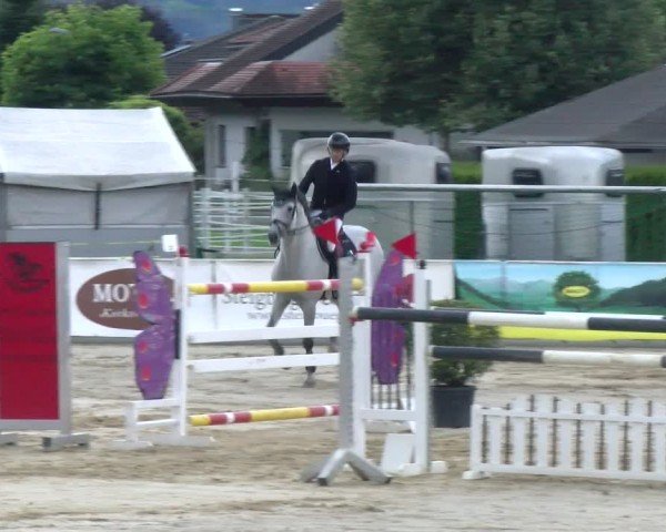 Reitturnier Rankweil 2024