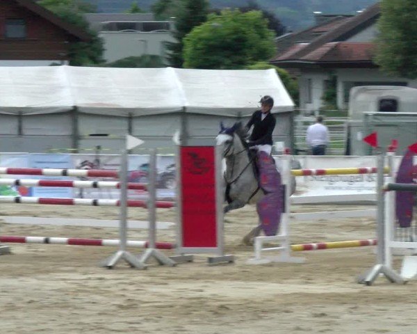 Reitturnier Rankweil 2024