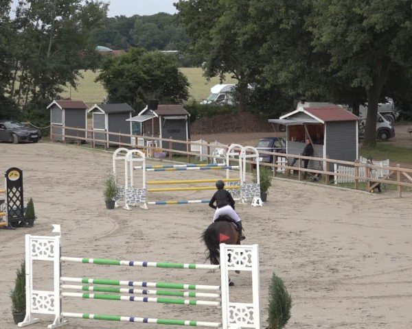 Reitturnier Scharnebeck 2024