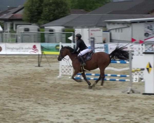Reitturnier Rankweil 2024