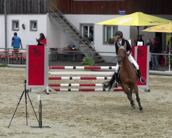Reitturnier Rankweil 2024
