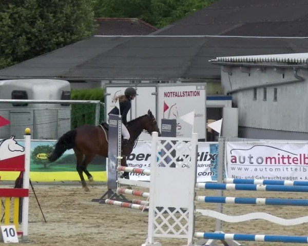 Reitturnier Rankweil 2024