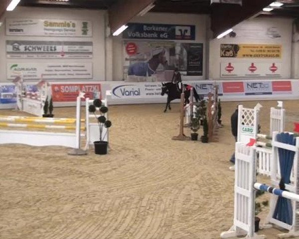 Hallenspringturnier in Borken 2013