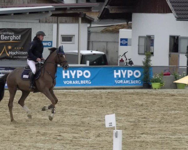 Reitturnier Rankweil 2024