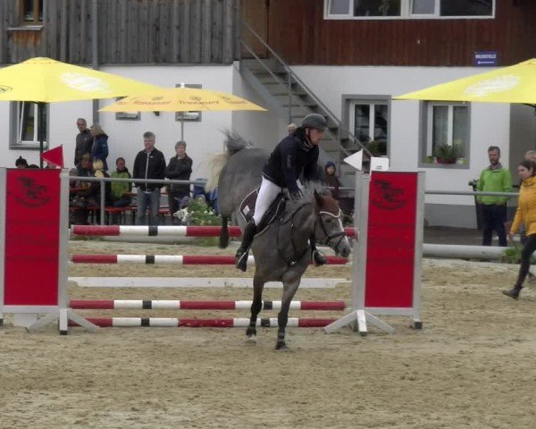 Reitturnier Rankweil 2024