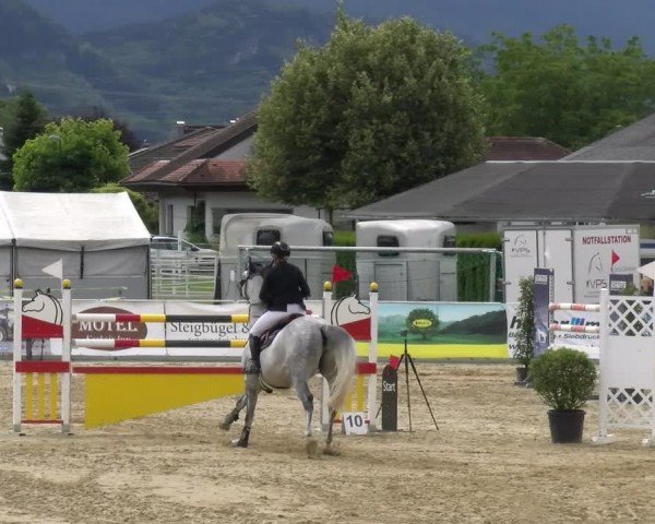 Reitturnier Rankweil 2024