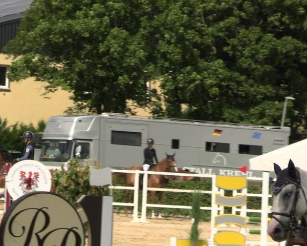 Reitturnier Neustadt/Dosse 2024