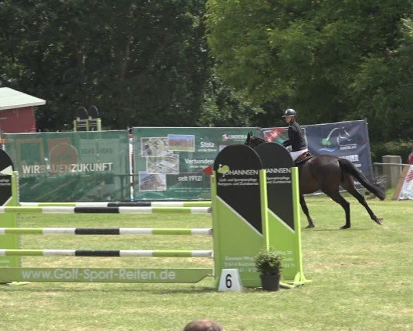 Reitturnier Wohlesbostel 2024