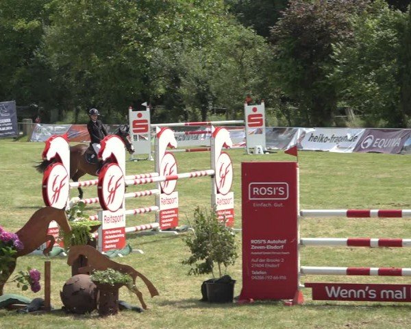 Reitturnier Wohlesbostel 2024
