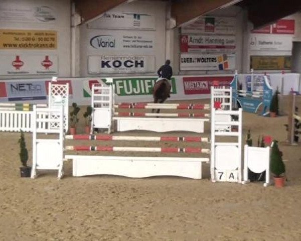 Hallenspringturnier in Borken 2013