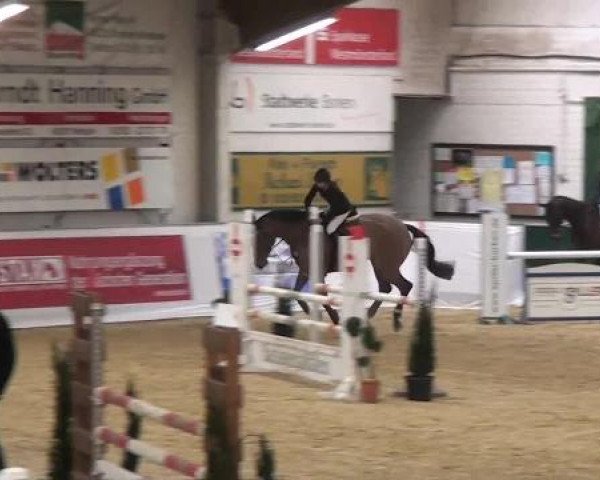 Hallenspringturnier in Borken 2013