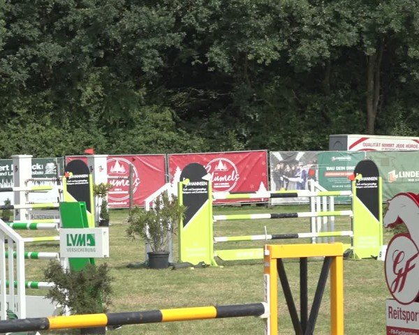 Reitturnier Wohlesbostel 2024