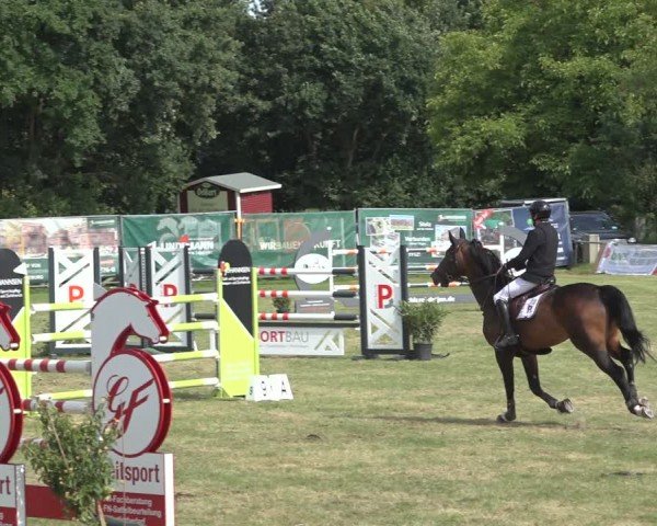 Reitturnier Wohlesbostel 2024