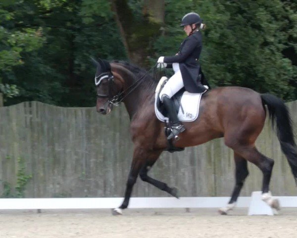 Reitturnier Heddesheim 2024