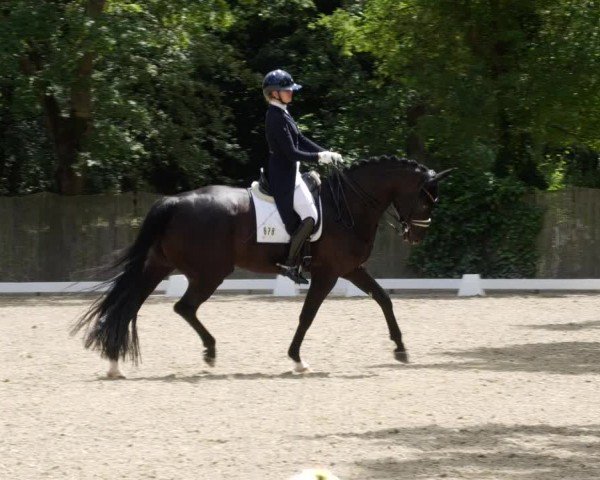Reitturnier Heddesheim 2024
