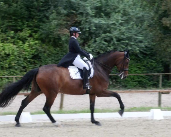 Reitturnier Heddesheim 2024