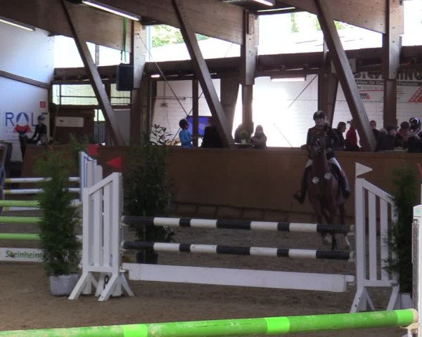 Reitturnier Steinheim 2021