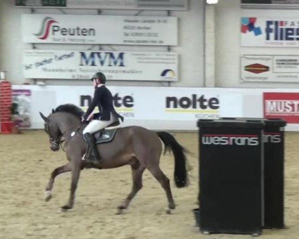 Hallenspringturnier in Borken 2013
