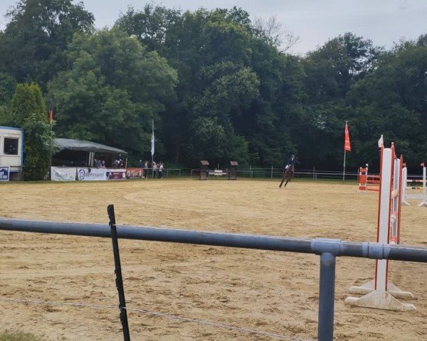 Reitturnier Lünen-Brambauer 2024
